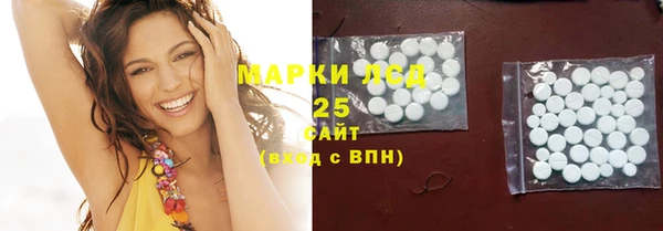 хмурый Абаза