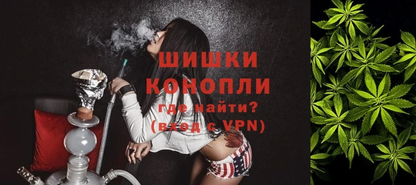хмурый Абаза