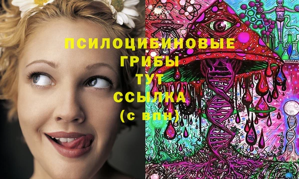 хмурый Абаза