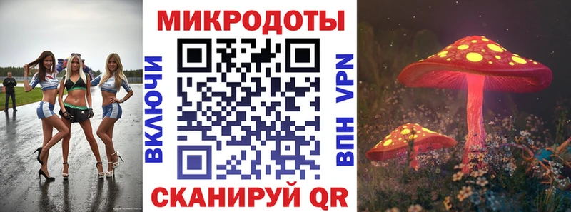 Галлюциногенные грибы Psilocybe  Красновишерск 